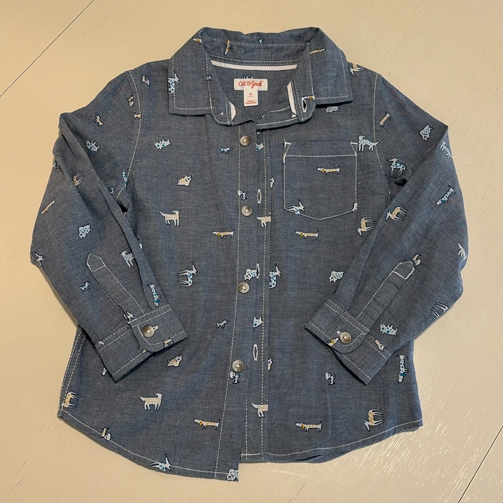 Printed Button Down
